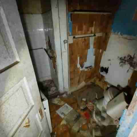 8031 conger (12).jpg